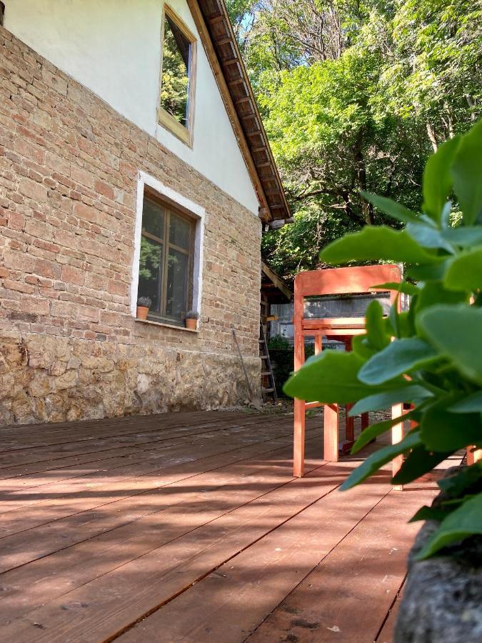 Rustic Cottage & Garden Retreat On Buda Hilltop Budapest Eksteriør billede