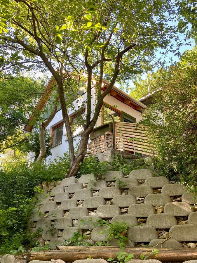 Rustic Cottage & Garden Retreat On Buda Hilltop Budapest Eksteriør billede