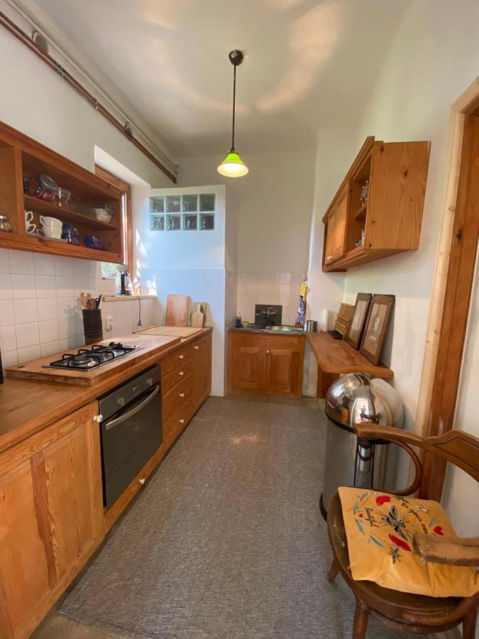 Rustic Cottage & Garden Retreat On Buda Hilltop Budapest Eksteriør billede