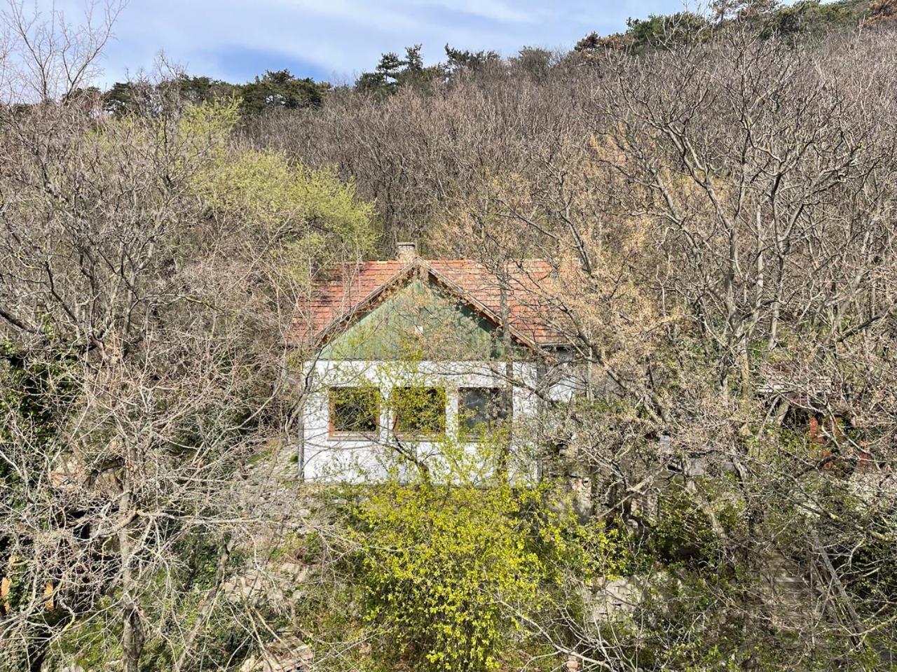 Rustic Cottage & Garden Retreat On Buda Hilltop Budapest Eksteriør billede